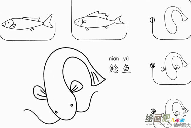 鲶鱼怎么画简笔画 鲶鱼的画法步骤图解