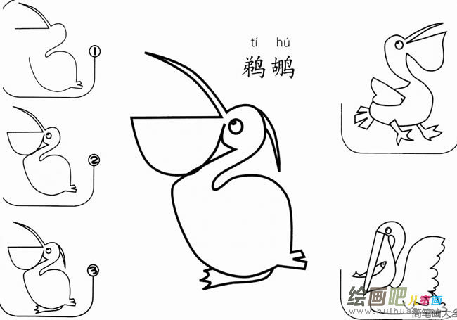 怎样教孩子画鹈鹕 鹈鹕怎么画简笔画步骤图