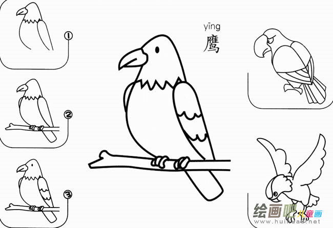 鹰怎么画简笔画图片 老鹰怎么画简单好看