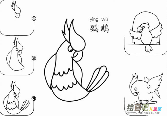 鹦鹉怎么画简笔画图片