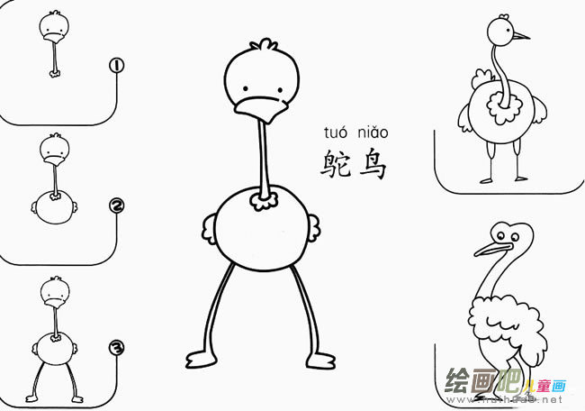鸵鸟怎么画简笔画图片