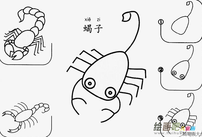 蝎子怎么画简笔画图片