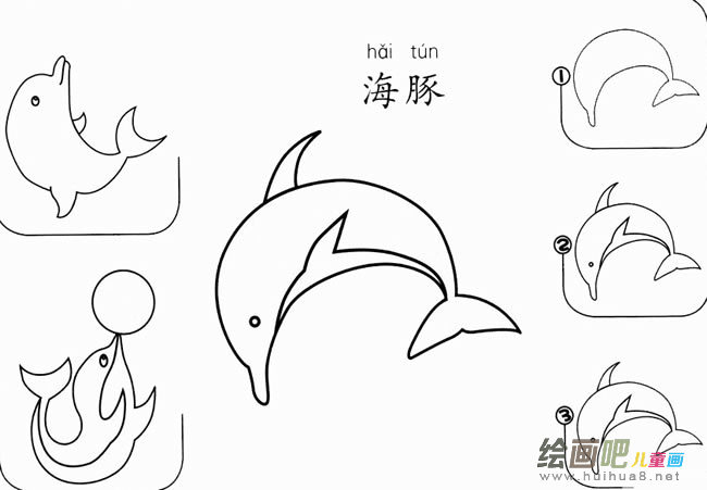 海豚怎么画简笔画图片