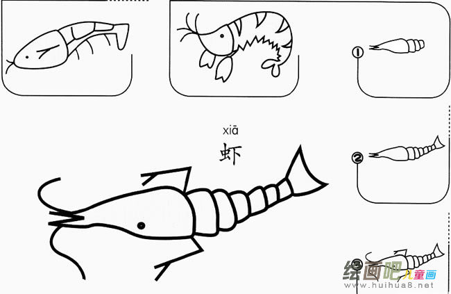 虾怎么画简笔画图片大全