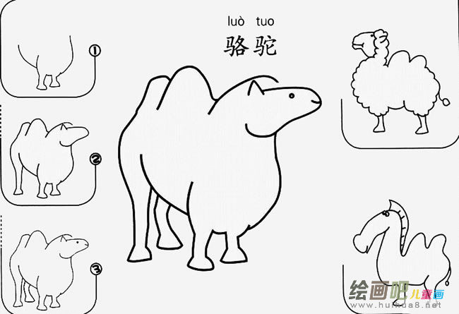 骆驼怎么画简笔画图片