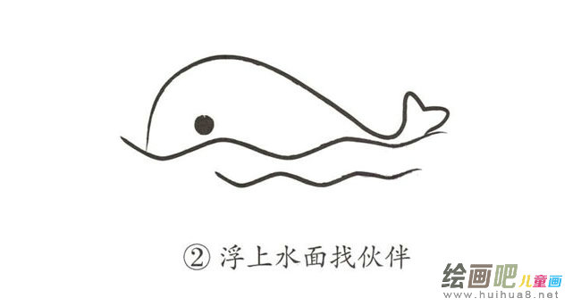 彩色鲸鱼简笔画图片