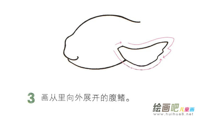 彩色金鱼简笔画图片