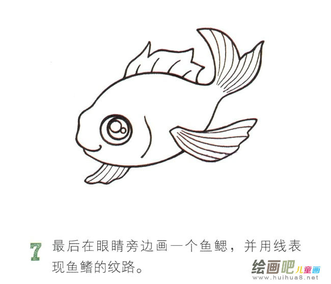 彩色金鱼简笔画图片