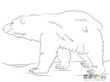 /jianbihua/dongwujianbi/28100.html