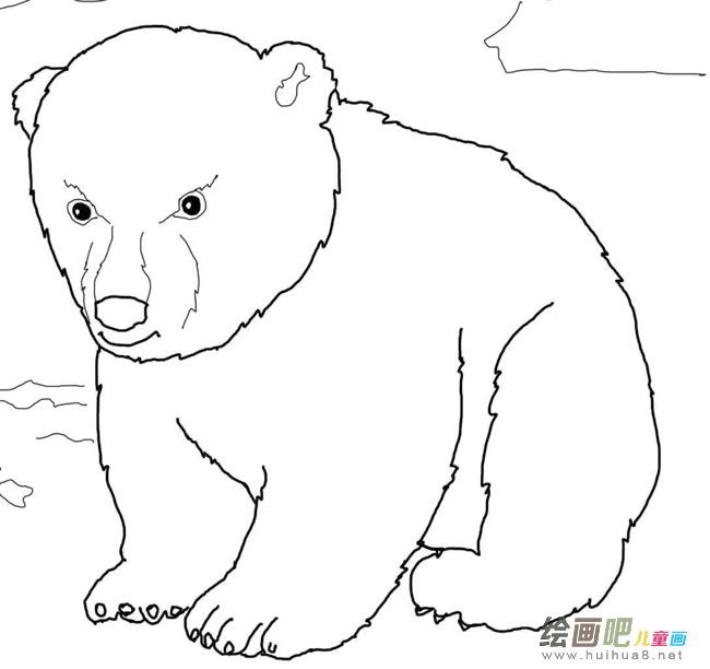 可爱的北极熊幼崽图片