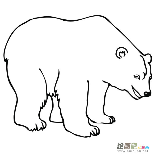 开心的北极熊图片