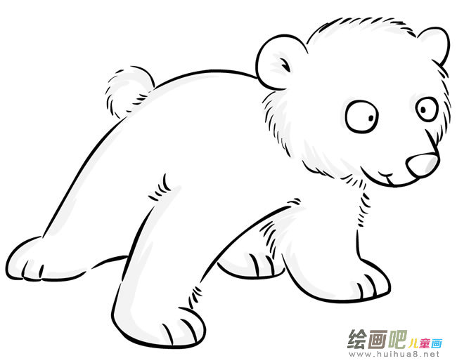 可爱的小北极熊图片