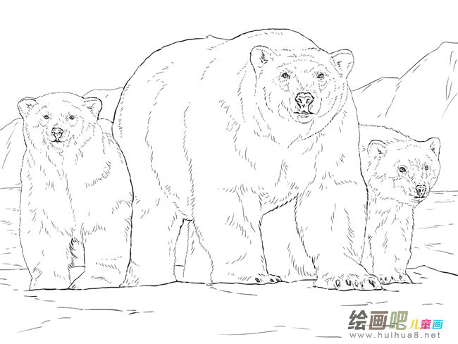 北极熊一家简笔画图片
