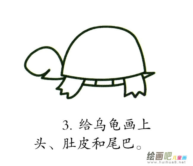 彩色乌龟简笔画图片