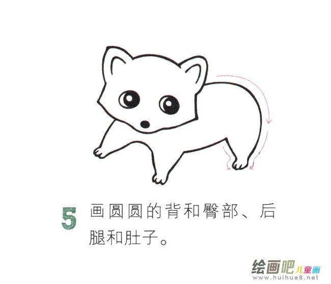 小浣熊动物简笔画图片