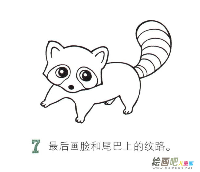 小浣熊动物简笔画图片