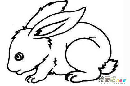简笔画画小兔 小兔简笔画图片