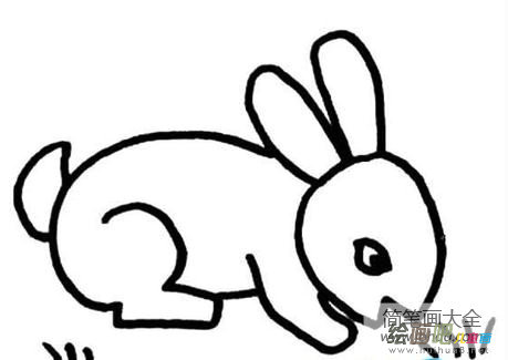 简笔画画小兔 小兔简笔画图片