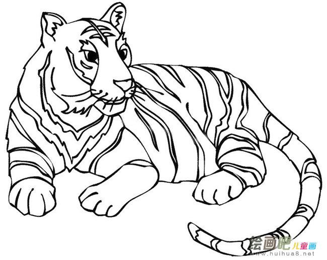 在休息的老虎简笔画图片