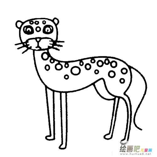 动物猎豹简笔画步骤教程