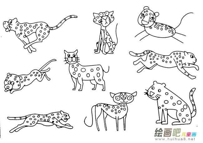 猎豹简笔画实例及步骤