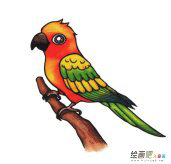 /jianbihua/dongwujianbi/27711.html