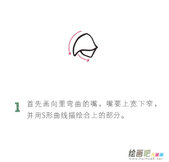 鹦鹉简笔画彩色图片大全