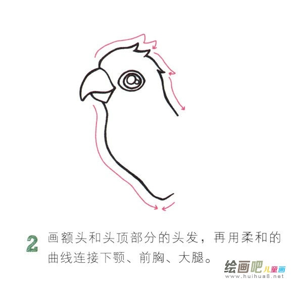 鹦鹉简笔画彩色图片大全