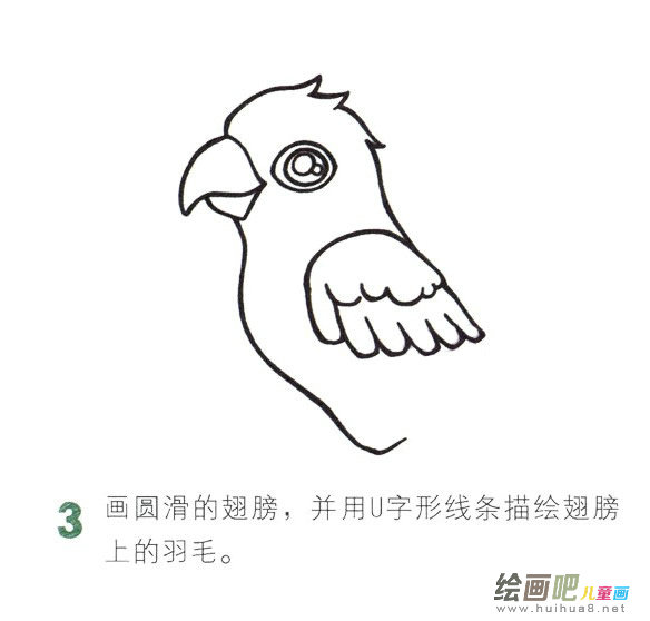 鹦鹉简笔画彩色图片大全