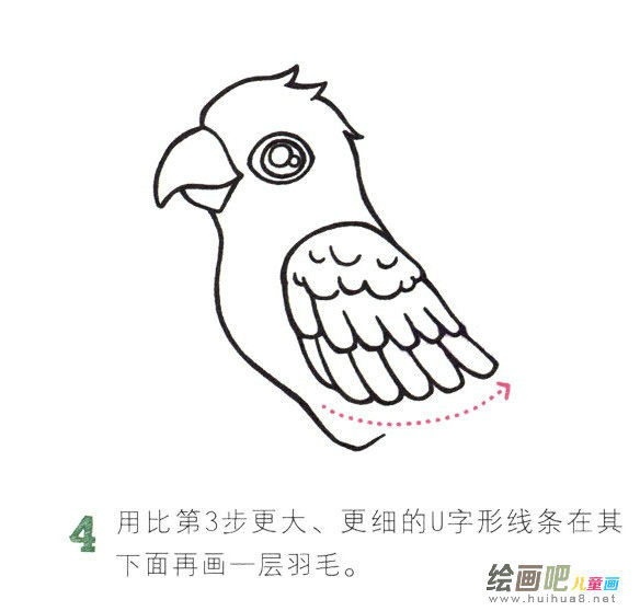 鹦鹉简笔画彩色图片大全