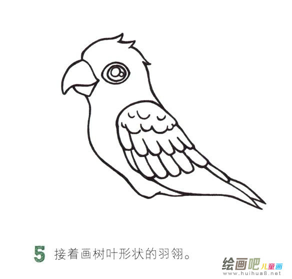 鹦鹉简笔画彩色图片大全