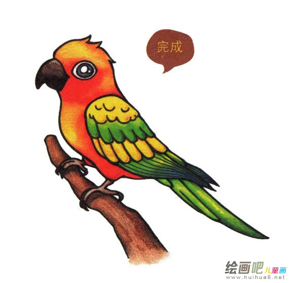鹦鹉简笔画彩色图片大全