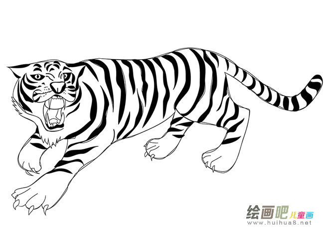 咆哮的老虎简笔画图片