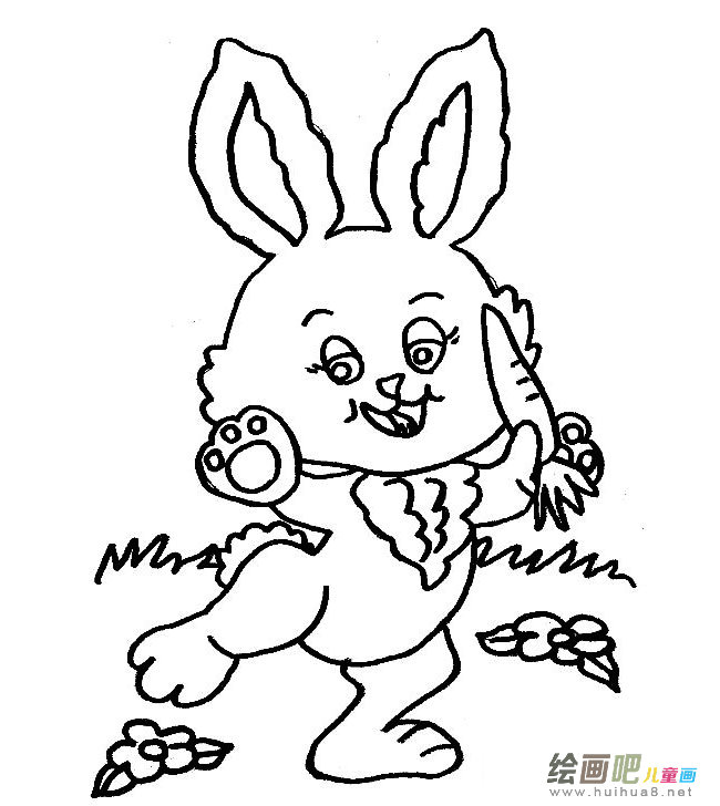 小白兔吃胡萝卜简笔画图片
