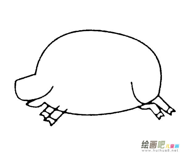 野猪简笔画的画法步骤图片