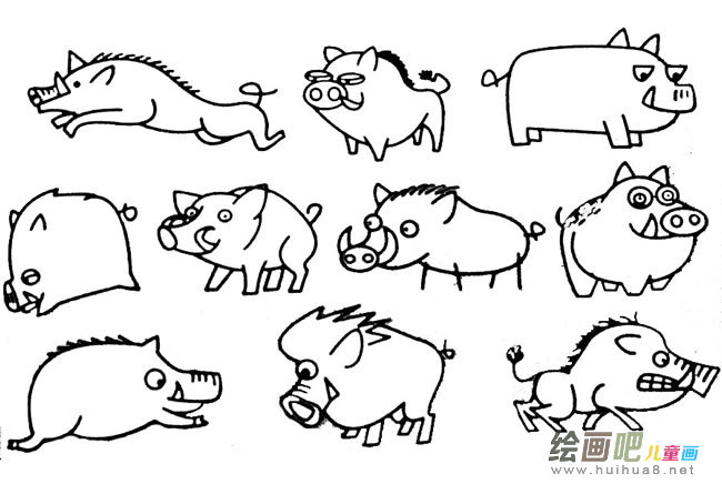 野猪简笔画的画法步骤图片