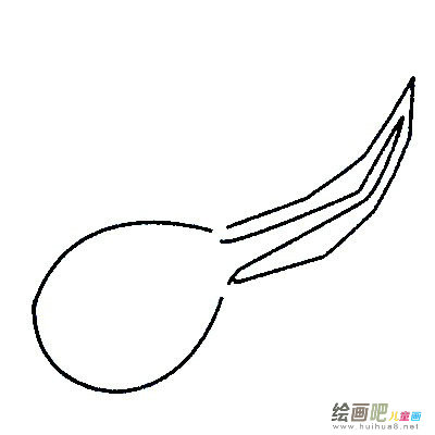 蝌蚪简笔画图片