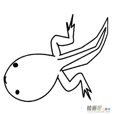 蝌蚪简笔画图片