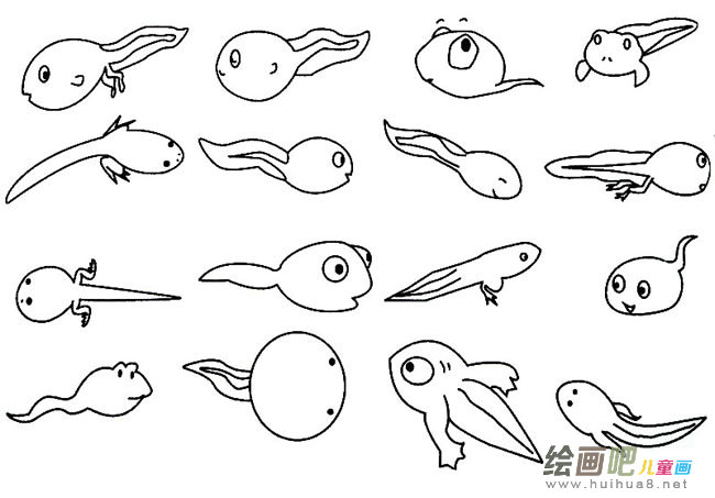 蝌蚪简笔画图片