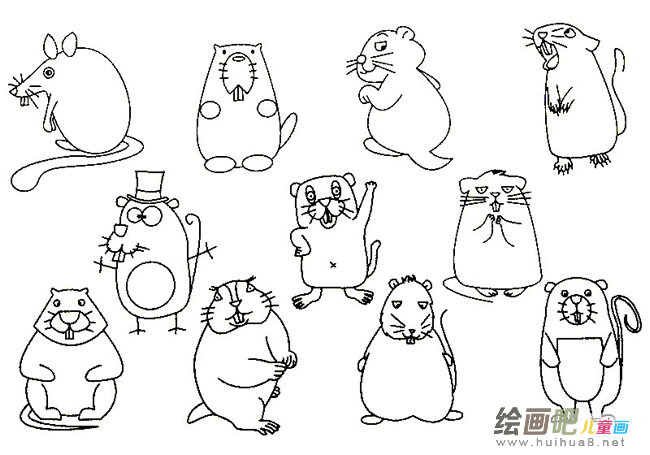 土拨鼠简笔画的画法步骤图片