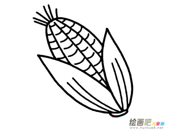 玉米简笔画图片