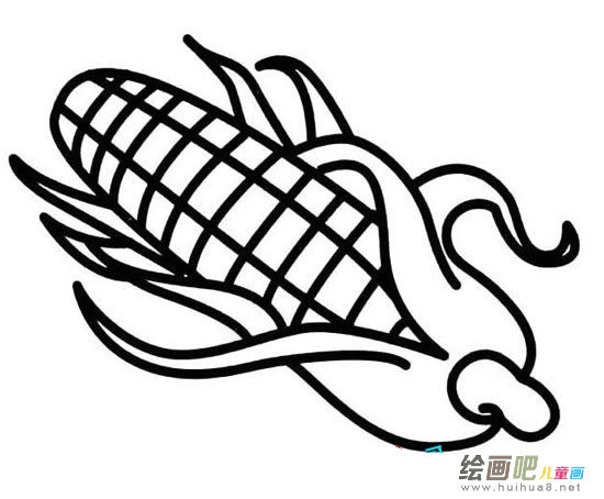 玉米简笔画图片