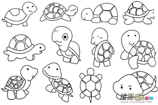 乌龟简笔画大全及画法步骤