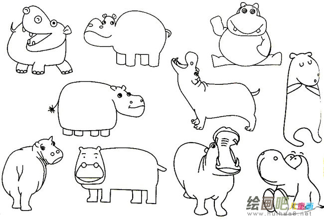 卡通河马简笔画图片大全