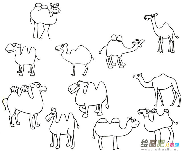 骆驼的简笔画大全儿童画