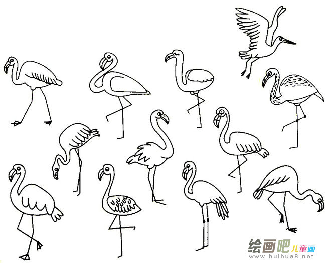 火烈鸟简笔画大全及画法步骤