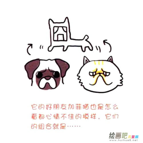 巴哥犬简笔画图片