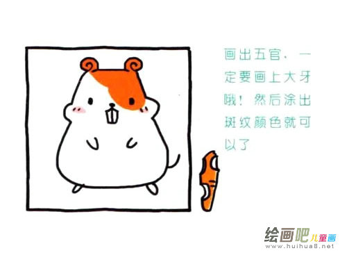仓鼠简笔画步骤图片四步画出