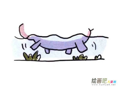 河马简笔画图片大全