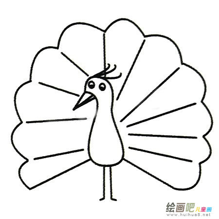 孔雀简笔画